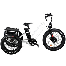 24 Inch Fat Tire Cargo 3 Wheel Electric Bicycle for Old People
